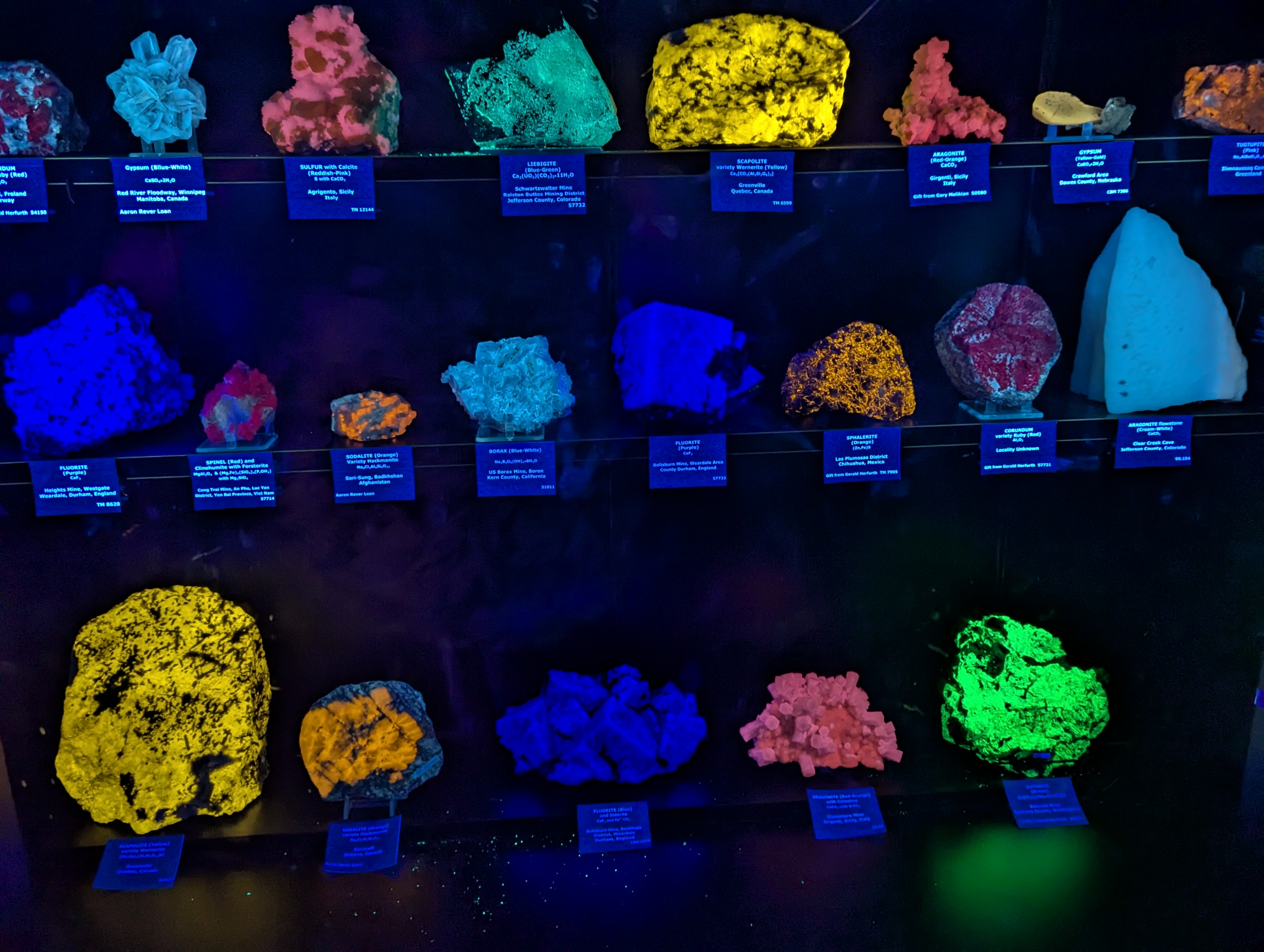 Colorado School of Mines, Geology Museum